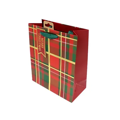 Pungă de cadou, din hârtie, colecția Clairefontaine de la Eurowrap, 25x21,5 cm, burduf de 10 cm, Tartan