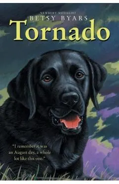 Tornado