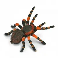 Figurina Tarantula Mexicana cu genunchi rosii