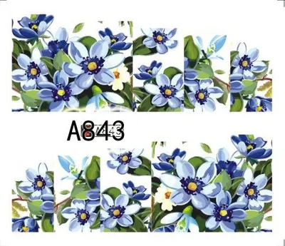 Tatuaj - A843