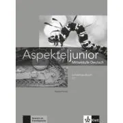 Aspekte junior C1. Mittelstufe Deutsch
