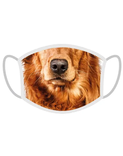 FERA Mască de protecție Golden retriever