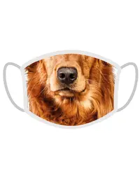 FERA Mască de protecție Golden retriever