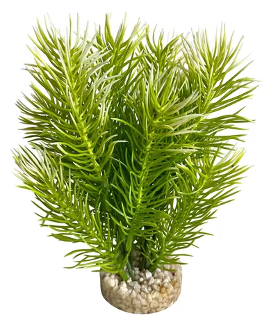 Sydeco Planta Japanese Tree 18 cm 380441