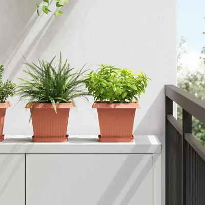 vidaXL Tavă Pătrată pentru Flori 6 buc. Roșu cărămidă 15 x 15 x 2 cm