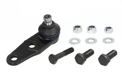 Pivot axa Dreapta Stanga (inferior fata) (diametru con 16mm) potrivit RENAULT 19 I, 19 I CHAMADE, 19 II, 19 II CHAMADE, CLIO II, CLIO II HATCHBACK, KANGOO, KANGOO EXPRESS 1.0-2.0 06.89