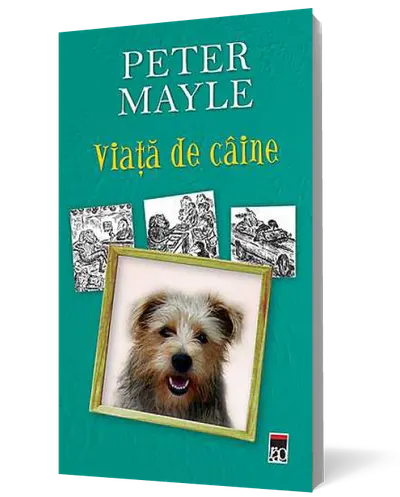 Viata de caine