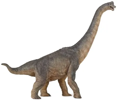 Figurina Papo Dinosaurs - Brachiosaurus