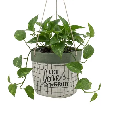 Ghiveci suspendat textil alb-verde 17 cm