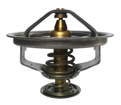 Termostat lichid racire (75 C, fara garnitura) FENDT 300, 500 BF4M1012-TD226B-6