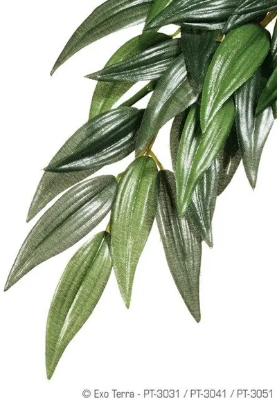Exo Terra Planta Ruscus Medium 55 CM PT3041