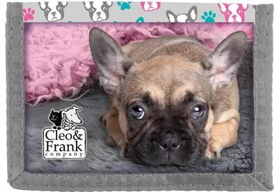 Portofel Derform Cleo&Frank - Catelus cu curea velcro