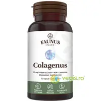 Colagen pentru Articulatii Colagenus 60cps