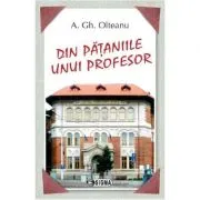 Din pataniile unui profesor