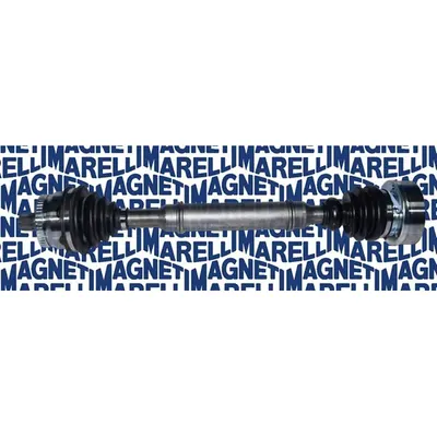 Planetara MAGNETI MARELLI 302004190001