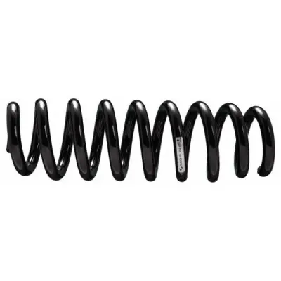 Arc spiral SACHS 994 475