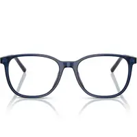 Dolce&Gabbana DG3426 3009 53