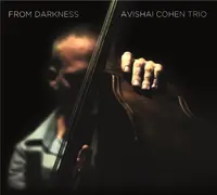 From Darkness - Vinyl