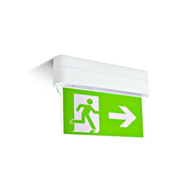 Theia LED 1W, 230V, 3 Hours Maintained, IP44, alb