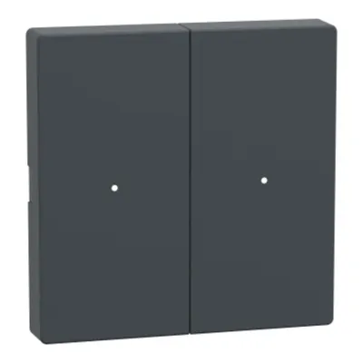 Clapete pentru Modul cu 2 Butoane, Antracit, Sistem M