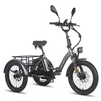 Tricicletă electrică Fafrees F20 Mate cu baterie de 48V 21AH
