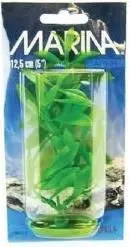Marina Plante Hygrophila 20 cm PP813