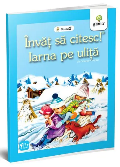 Iarna pe uliță - Paperback brosat - ***