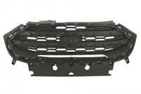 Grila radiator (gri inchis) potrivit FORD ECOSPORT 10.17-