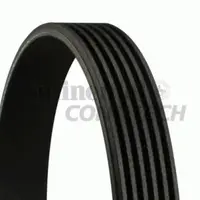 Curea transmisie cu caneluri CONTITECH 6PK2205