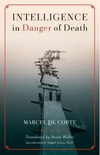 Intelligence in Danger of Death (English edition)