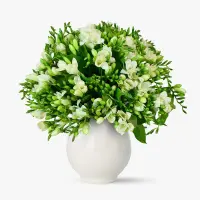 Buchet de 101 frezii albe