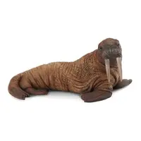 Figurina Morsa L Collecta