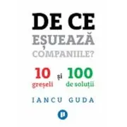 De ce esueaza companiile? 10 greseli si 100 de solutii
