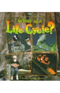 What Is a Life Cycle?