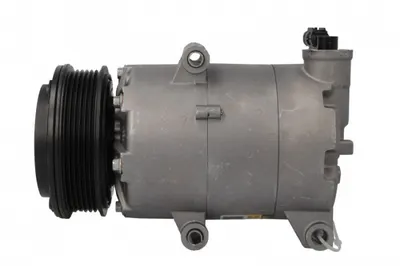 Compresor climatizare potrivit FORD KUGA II, TOURNEO CONNECT V408 NADWOZIE WIELKO, TRANSIT CONNECT V408 MINIVAN 1.5 1.6 10.12
