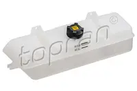 Vas expansiune racire (cu priza) potrivit CITROEN JUMPER I; PEUGEOT BOXER 02.94-06.06
