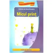 Micul print