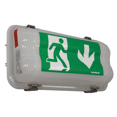 Corp de iluminat siguranta LED Antiex Zone 2-22 distanta 20m 1h