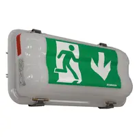 Corp de iluminat siguranta LED Antiex Zone 2-22 distanta 20m 1h