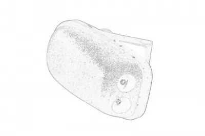 Diuza spalator parbriz FORD FOCUS II 1.4-2.5 intre 2004-2012