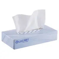 Servetele Faciale Biodegradabile Compostabile de Hartie Albe, Cutie, 2 Straturi, 100 Bucati, Lucart