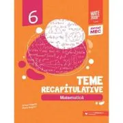 Matematica - Clasa 6 - Teme recapitulative
