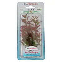 Tetraplant Red Ludwigia 23 cm