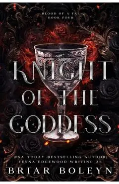 Knight of the Goddess: A Dark Fae Fantasy Romance