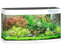 Juwel Acvariu Led Vision 450 Alb