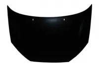 Capota motor FORD FOCUS limuzina (DFW) 1998-2004