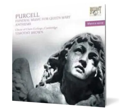 Purcell