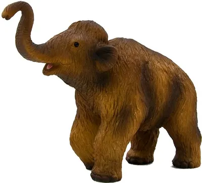 Mojo Mamut lanos - pui