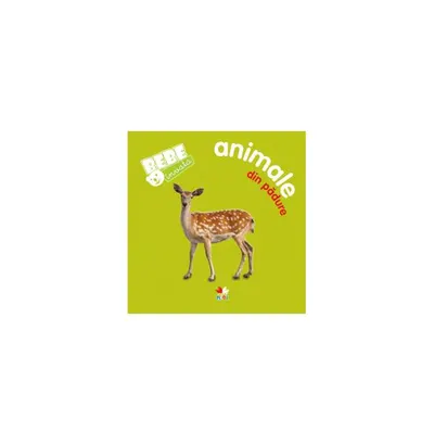 Animale din pădure - Hardcover