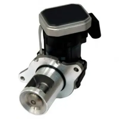 Supapa Egr Meat Doria 88185